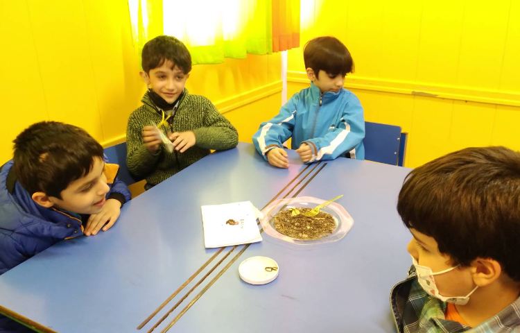 :هفته علوم، دنیای کرم خاکی 3