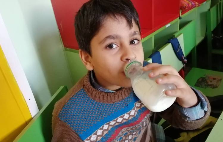 :هفته علوم، شهر خوراکی ها 2