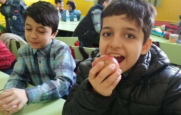 :هفته علوم، شهر خوراکی ها 4