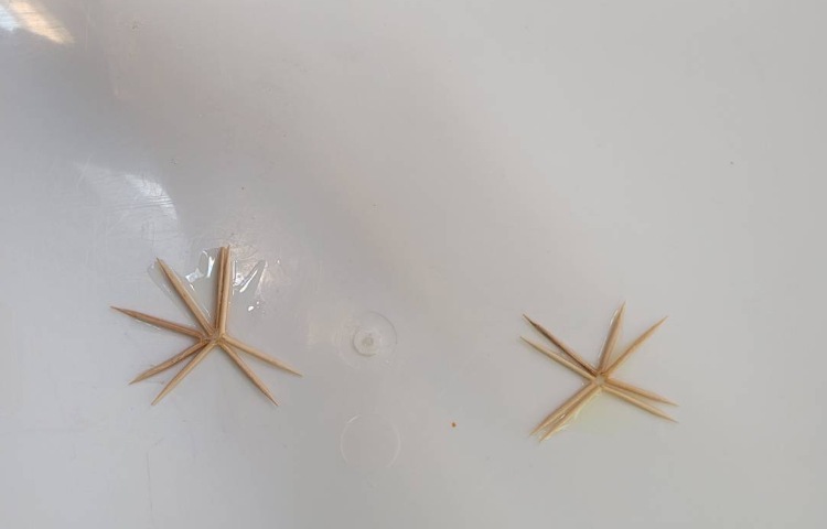 :هفته علوم، عکس های منتخب پژوهش های"برف مصنوعی، شعبده ی آب، بازی رنگ ها" 6