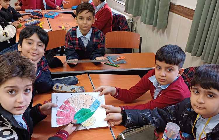 هفته علوم -فرمانده بدن .کاربرگ و کاردستی مغز 6