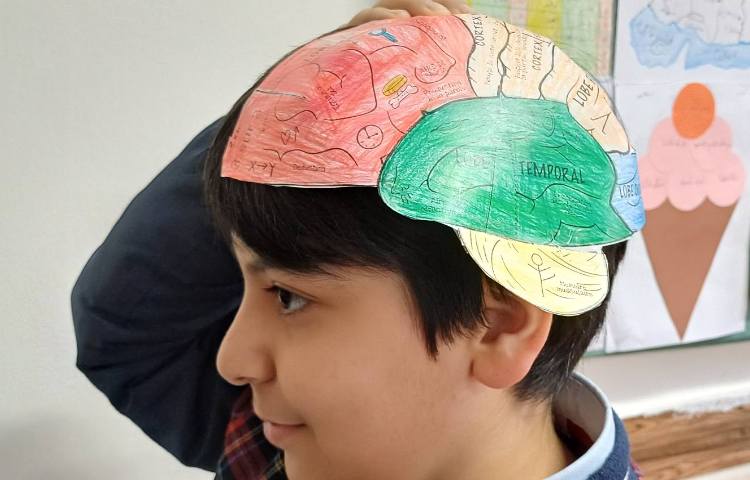 هفته علوم -فرمانده بدن .کاربرگ و کاردستی مغز 8