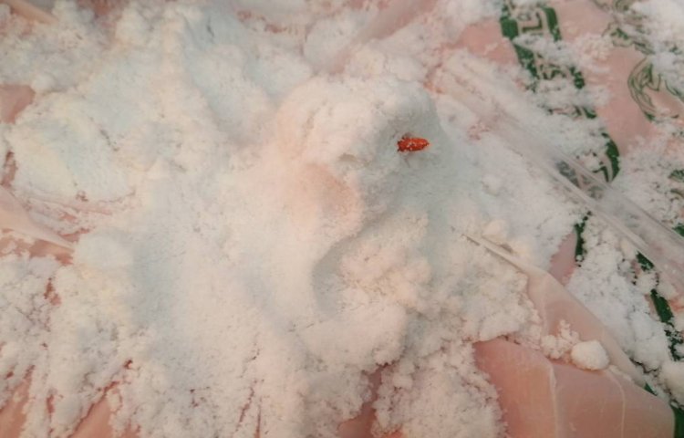 :هفته علوم، پروژه خلاقیتی، برف مصنوعی 5