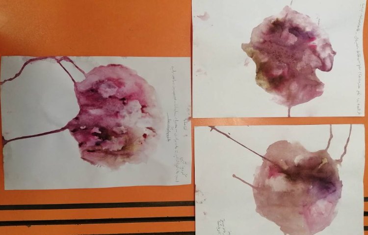 :هفته علوم، پروژه هنری، بازی رنگ ها 5