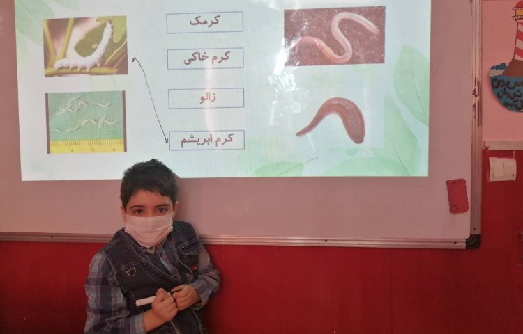 :هفته علوم پروژه پژوهشی، کرم خاکی 5