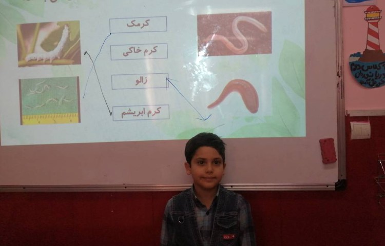 :هفته علوم پروژه پژوهشی، کرم خاکی 6
