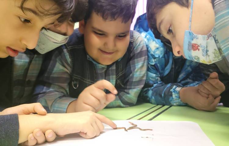 :هفته علوم، کرم خاکی 1