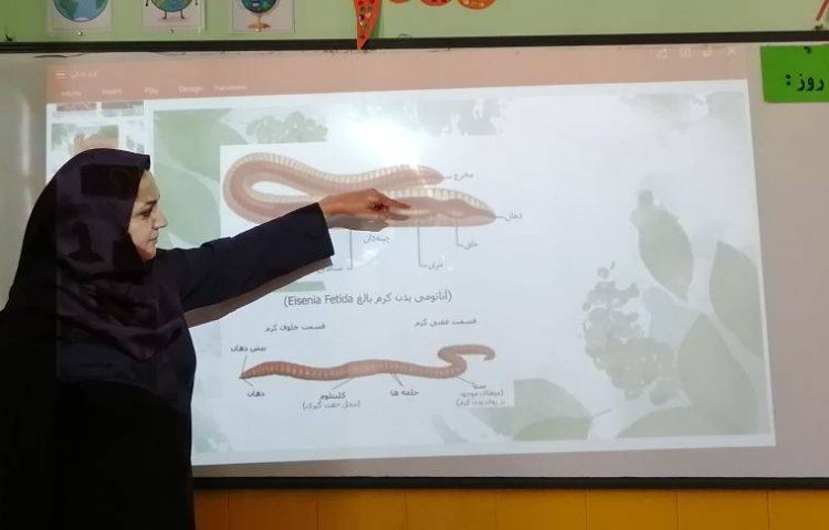 :هفته علوم، کرم خاکی 1