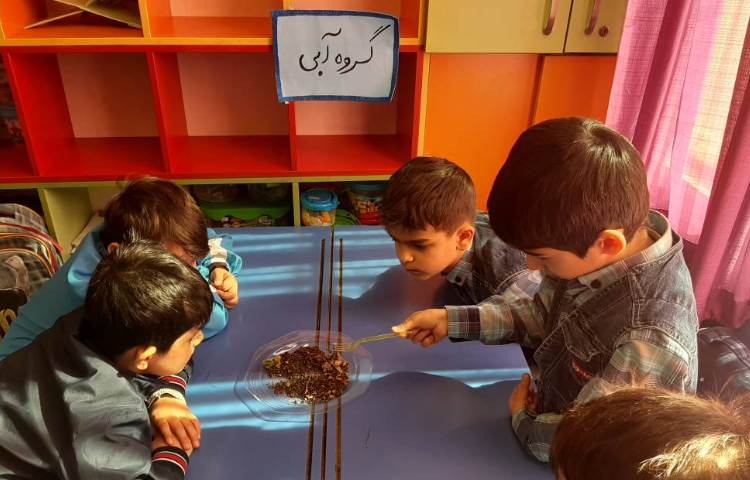 :هفته علوم، کرم خاکی 1