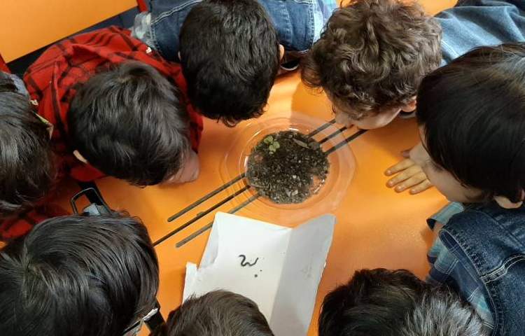 :هفته علوم، کرم خاکی 1