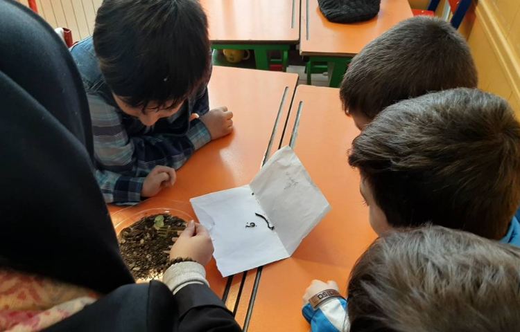 :هفته علوم، کرم خاکی 4