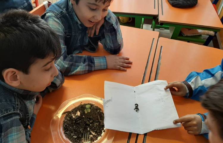 :هفته علوم، کرم خاکی 5