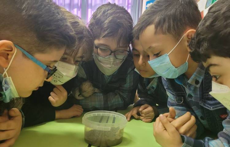 :هفته علوم، کرم خاکی 6