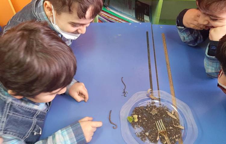 :هفته علوم، کرم خاکی 6