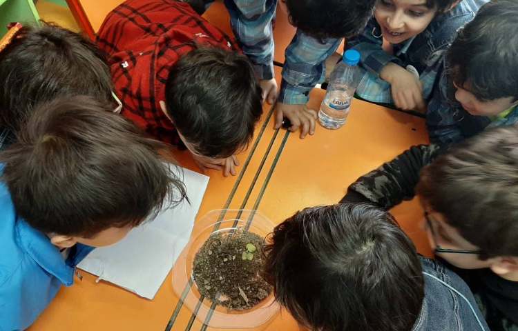 :هفته علوم، کرم خاکی 6