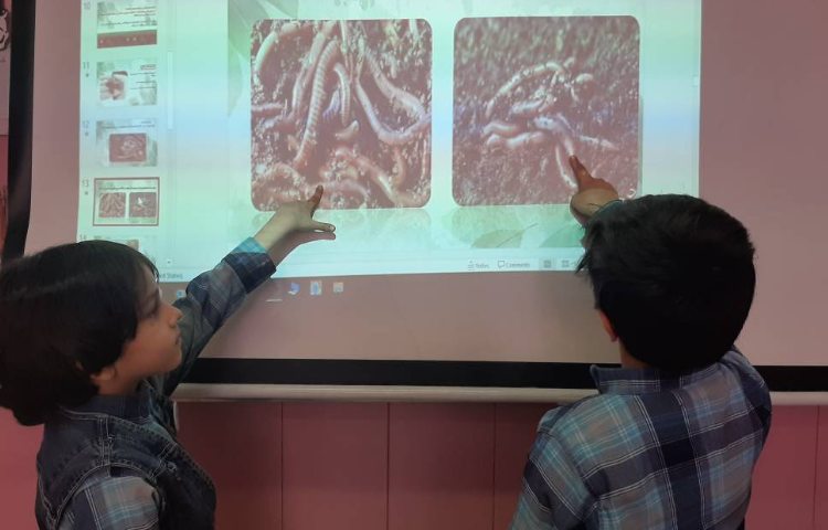 :هفته علوم، کرم خاکی 7