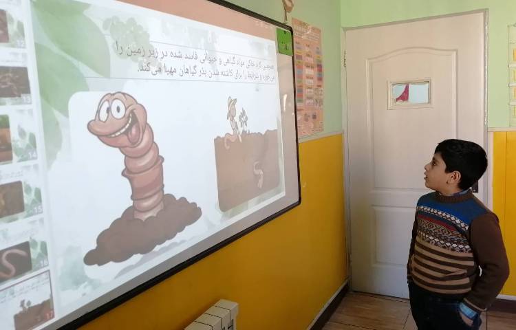 :هفته علوم، کرم خاکی