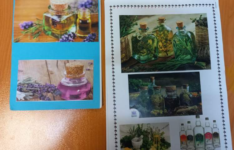 هفته علوم - کلاس دانشمندان 6