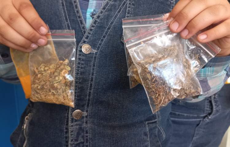 هفته علوم - کلاس کاوشگران 3