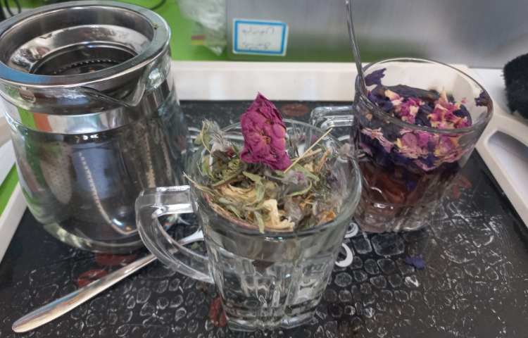 هفته علوم - کلاس کاوشگران 4