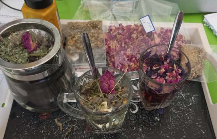 هفته علوم - کلاس کاوشگران 5