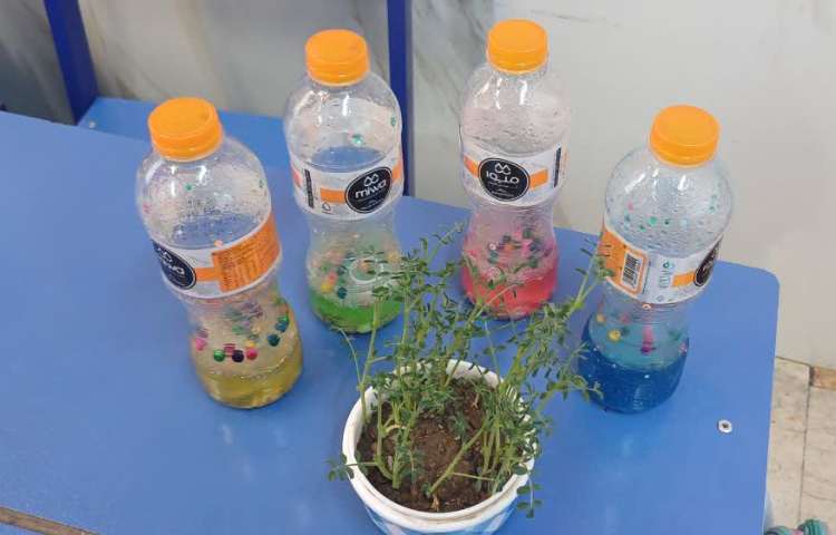 هفته علوم گوی بازیگوش 6