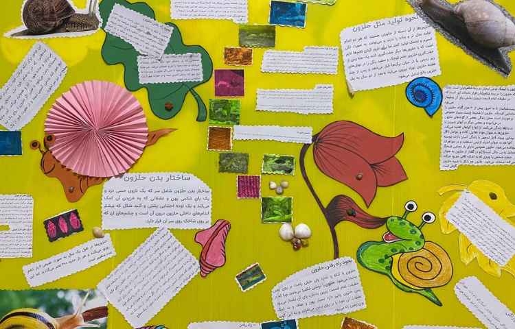 هفته علوم 17