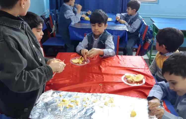 هفته ملی علوم(کافه سلامت) 1