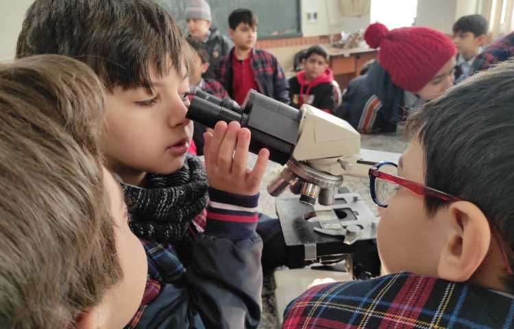 هفته ملی علوم - اردو فیزیک،زیست،شیمی 11