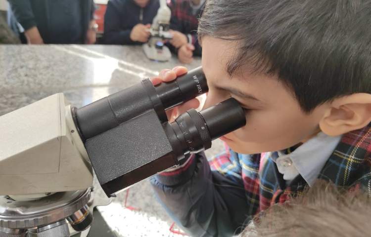 هفته ملی علوم - اردو فیزیک،زیست،شیمی 12