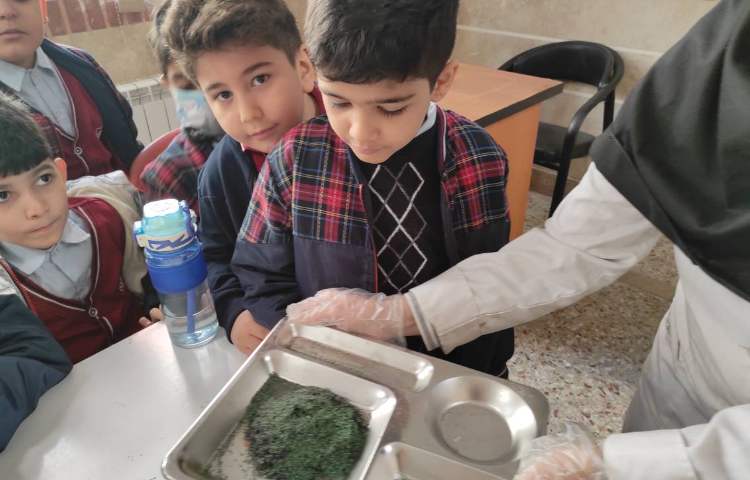 هفته ملی علوم - اردو فیزیک،زیست،شیمی 8