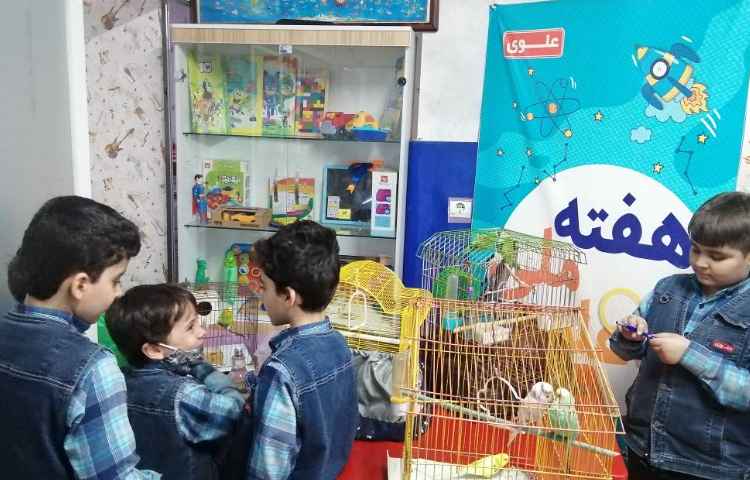 :هفته ملی علوم، حیوانات خانگی 2