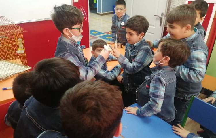 :هفته ملی علوم، حیوانات خانگی 3