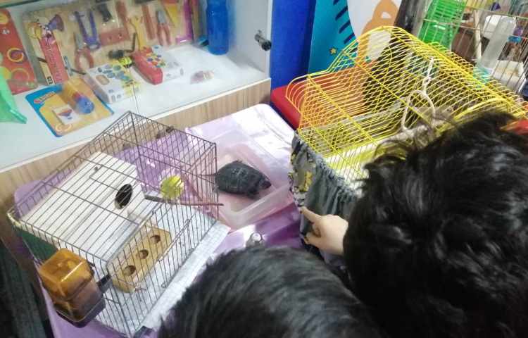 :هفته ملی علوم، حیوانات خانگی 4