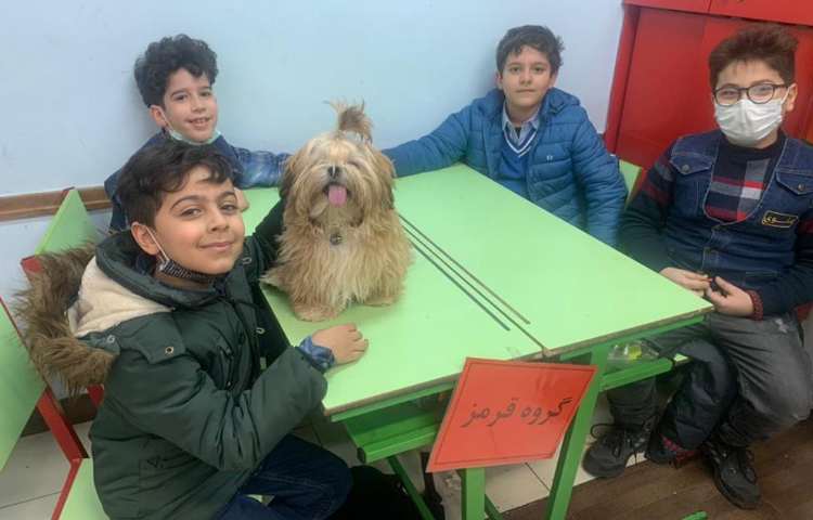 هفته ملی علوم دانش آموزان سوم دبستان 18