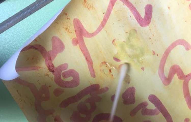 هفته ملی علوم دانش آموزان پنجم دبستان علوی 11