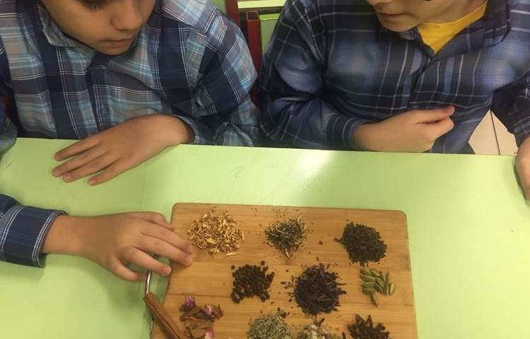 هفته ملی علوم دانش آموزان پنجم دبستان علوی