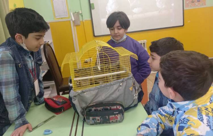 :هفته ملی علوم، دوستان خانگی ما، سوم زمین 1