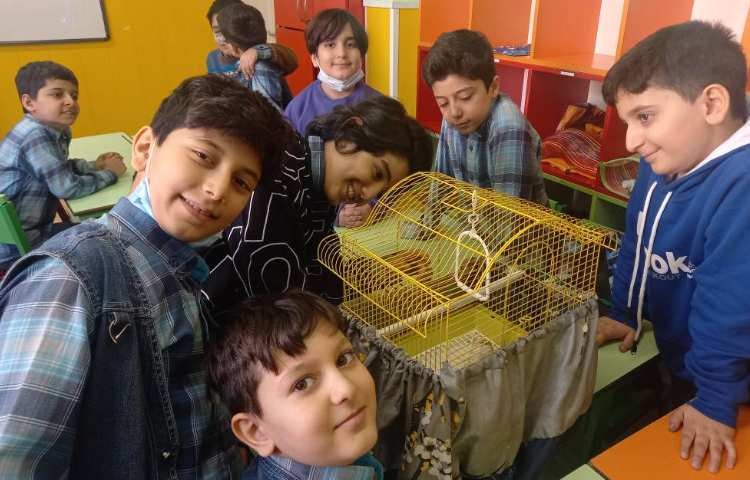 :هفته ملی علوم، دوستان خانگی ما، سوم زمین 3