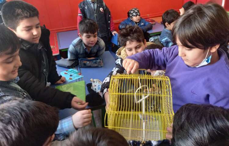 :هفته ملی علوم، دوستان خانگی ما، سوم مریخ 5