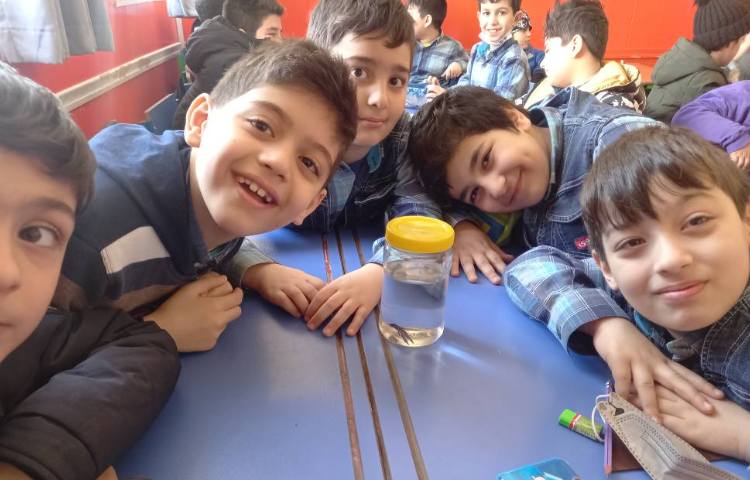 :هفته ملی علوم، دوستان خانگی ما، سوم مریخ