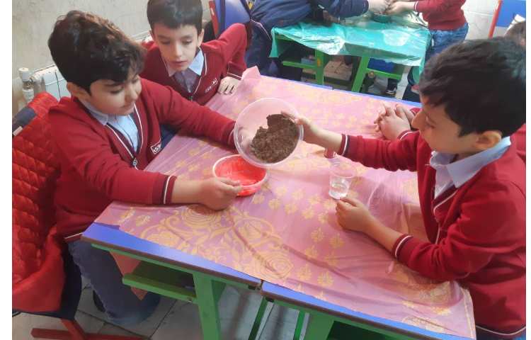 هفته ملی علوم: ساحل شنی