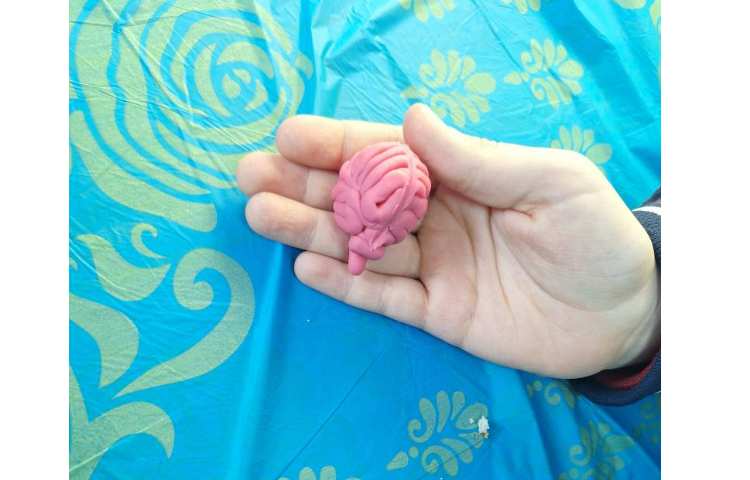 هفته ملی علوم فرمانده بدن 4