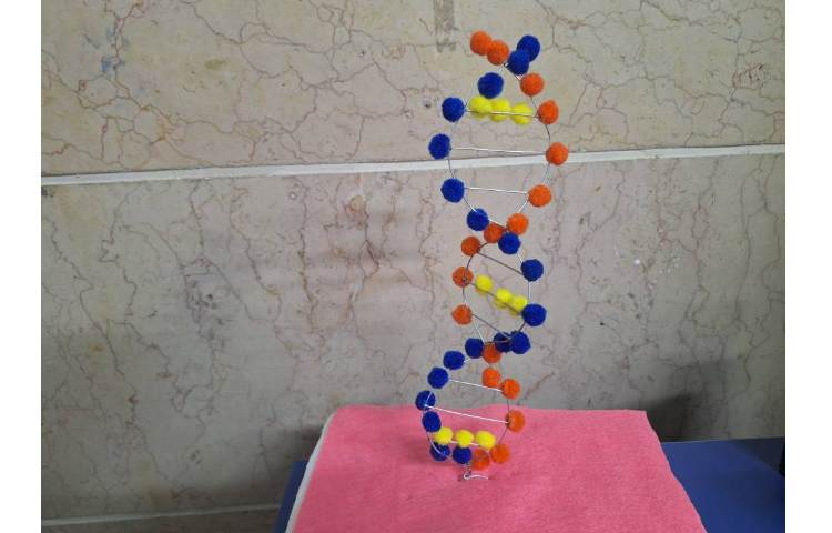 هفته ملی علوم فعالیت مربوط به کدهای حیاتی 2