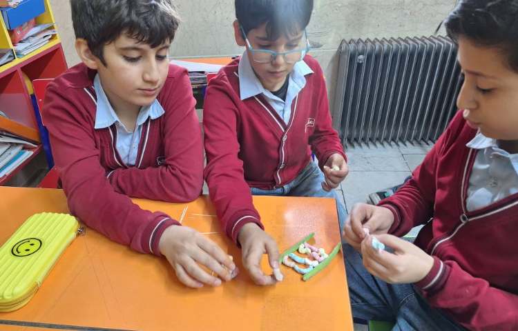 هفته ملی علوم فعالیت مربوط به کدهای حیاتی 3