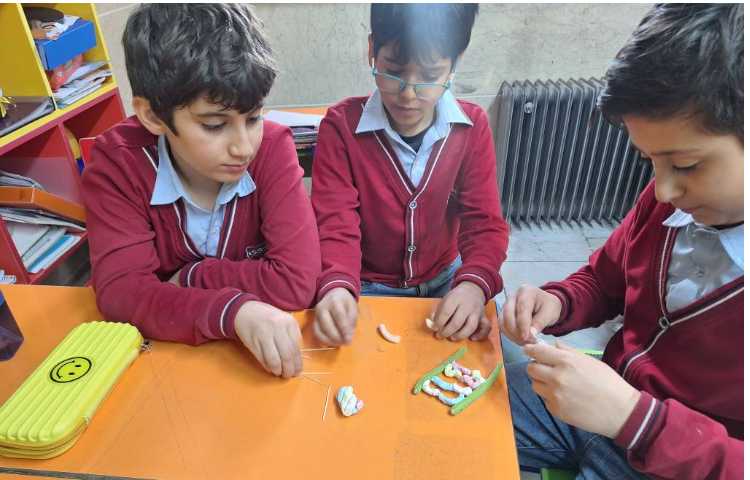 هفته ملی علوم فعالیت مربوط به کدهای حیاتی 4