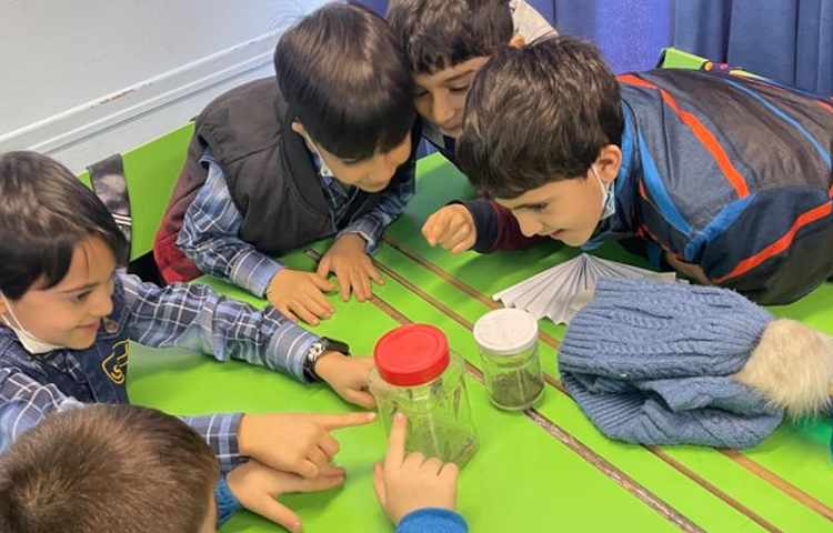 هفته ملی علوم پایه اول دبستان 15