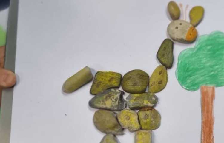 هفته ملی علوم پایه دوم دبستان علوی 2