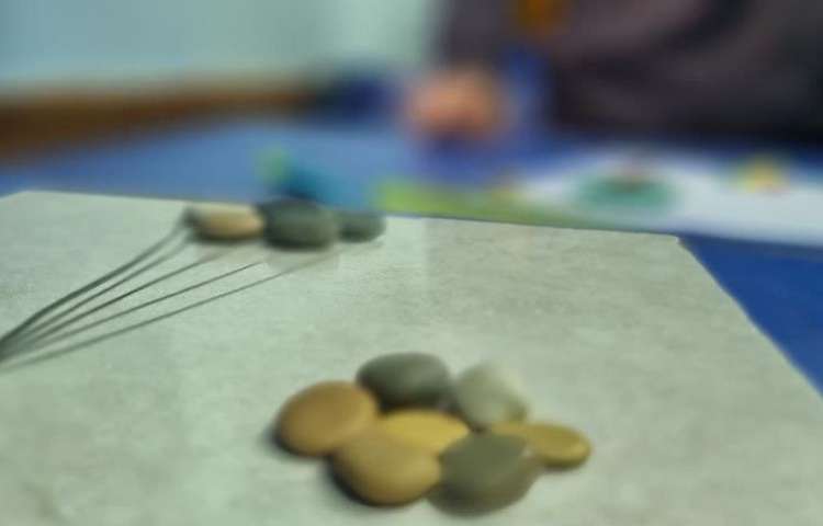 هفته ملی علوم پایه دوم دبستان علوی 6