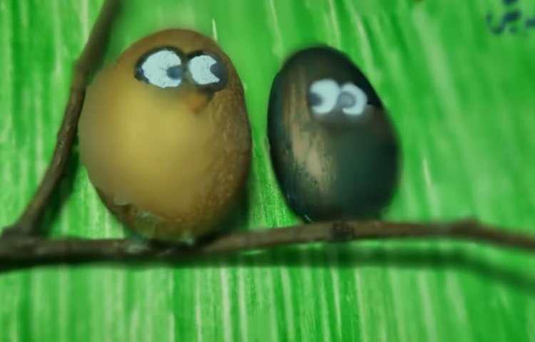 هفته ملی علوم پایه دوم دبستان علوی 8